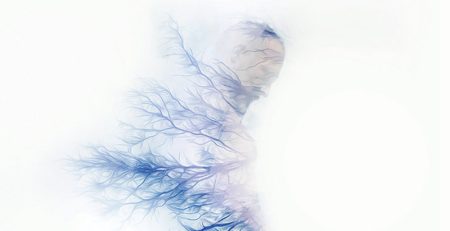 ΘΕΟΧΑΡΙΔΗΣ Ν., Edelweiss, ιστορίες της ερήμου